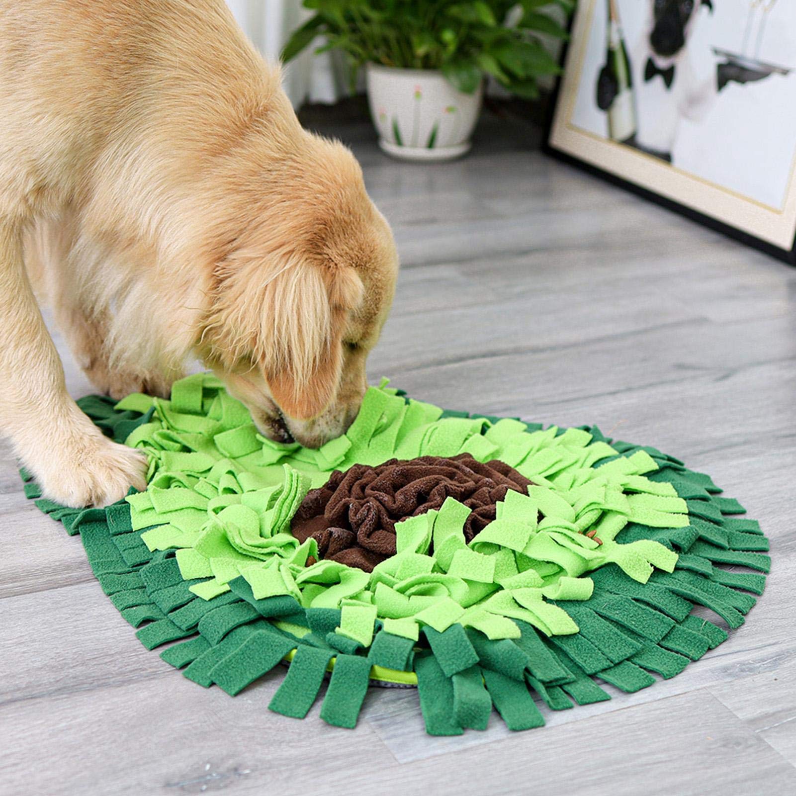 Interactive Dog Snuffle Feeding Mat product photo