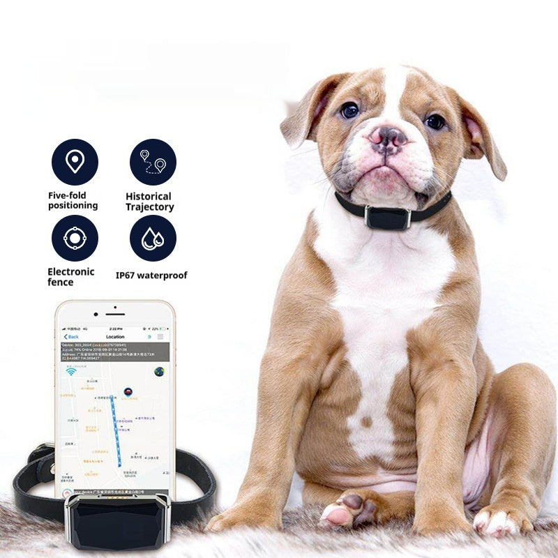 Smart GPS Pet Tracker Collar product photo